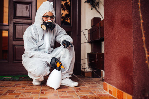 Reliable Wasp Removal contractor in Hurlock, MD by Show Me Pest Control